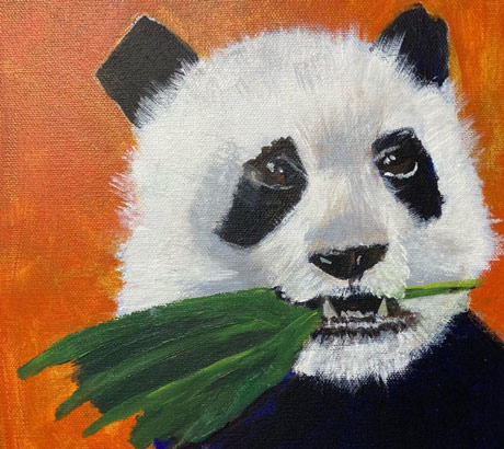 Panda Bear Acrylic Painting